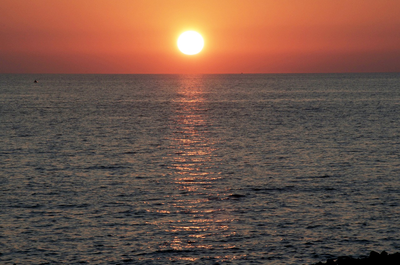 mare